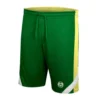 Colosseum Colorado State Rams Am I Wrong Reversible Shorts