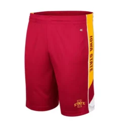 Colosseum Kids' Iowa State Cyclones Pool Short