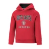 Colosseum Toddler South Dakota Coyotes Chimney Hoodie -Sportswear Store 19673513112