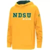 Colosseum Kids' North Dakota State Bison 2022 Cyber Hoodie -Sportswear Store 19690208778
