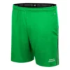 Colosseum North Dakota Fighting Hawks Physics Shorts